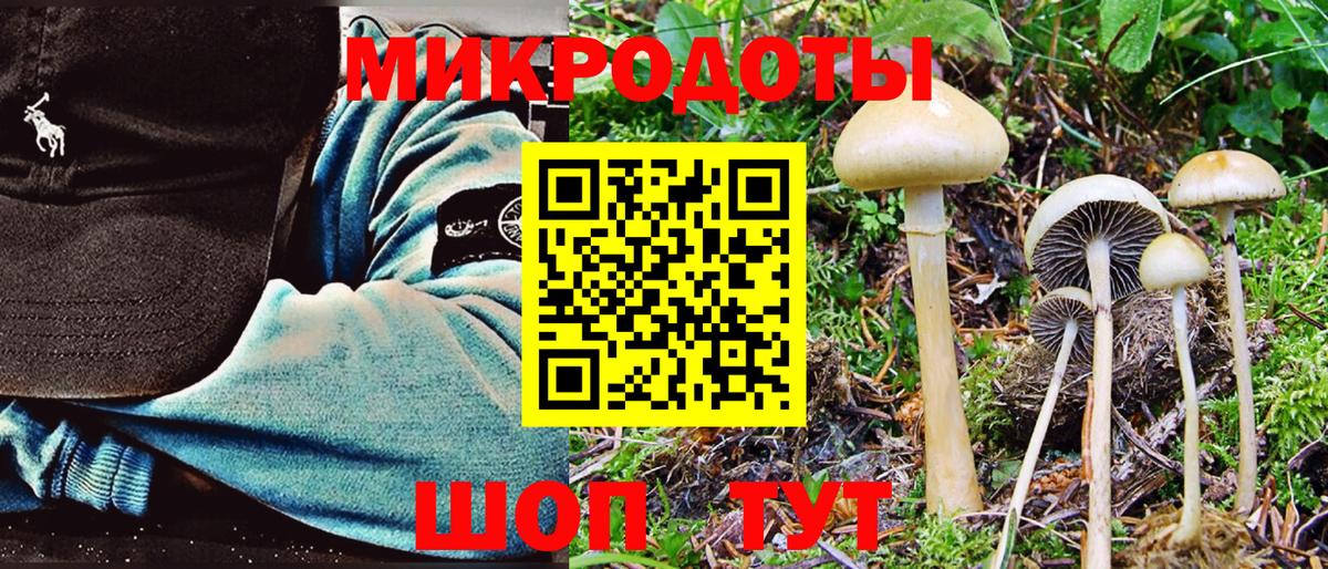 хочу   Галлюциногенные грибы Cubensis  Вход с VPN  Ахтубинск 